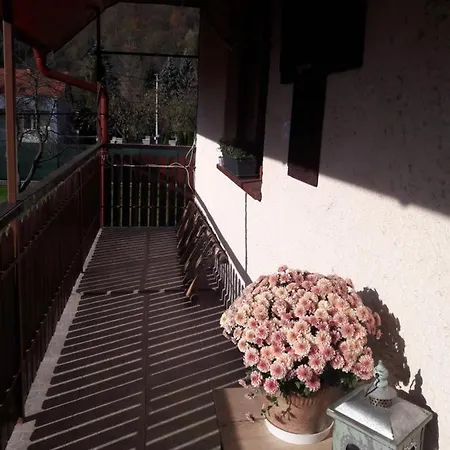 Bela Apartment